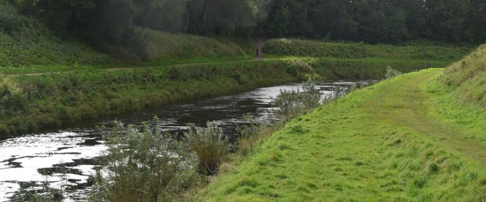 Cover image for Viking Hygiene: The Evidence of Better Habits